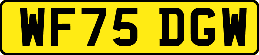 WF75DGW