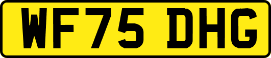 WF75DHG