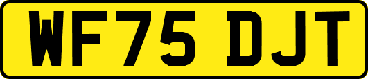 WF75DJT