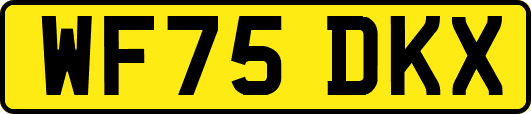WF75DKX