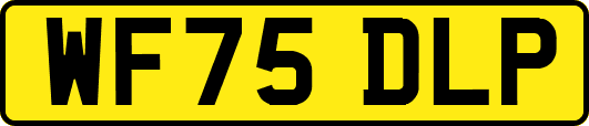 WF75DLP