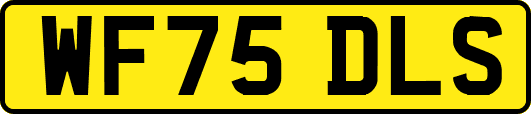 WF75DLS