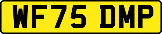 WF75DMP