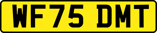 WF75DMT