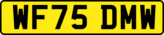 WF75DMW