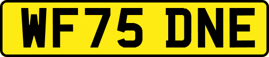 WF75DNE