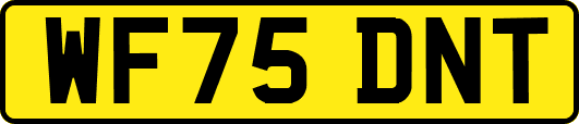 WF75DNT