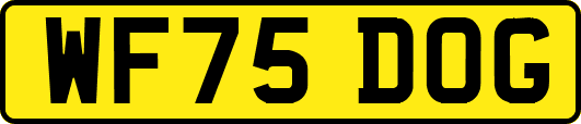 WF75DOG
