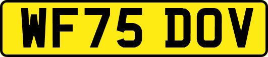WF75DOV