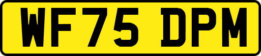 WF75DPM