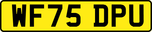 WF75DPU