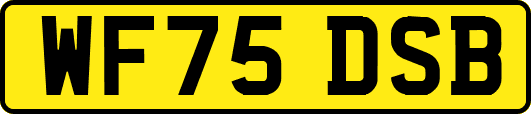 WF75DSB
