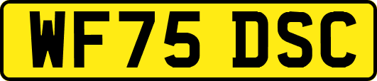WF75DSC
