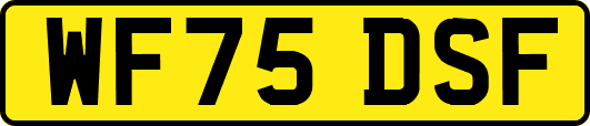 WF75DSF