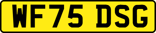 WF75DSG
