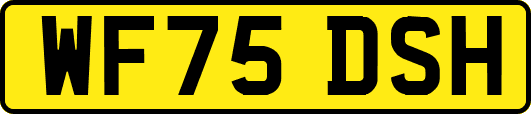 WF75DSH
