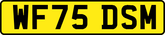 WF75DSM