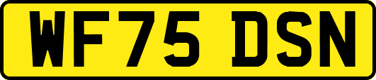 WF75DSN