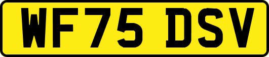 WF75DSV