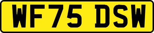WF75DSW