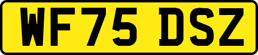 WF75DSZ