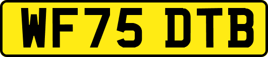 WF75DTB