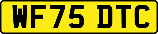 WF75DTC