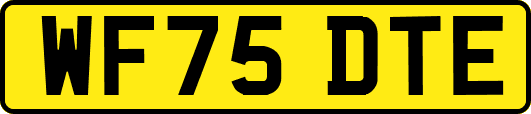 WF75DTE