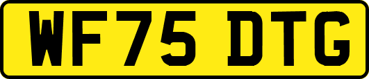 WF75DTG