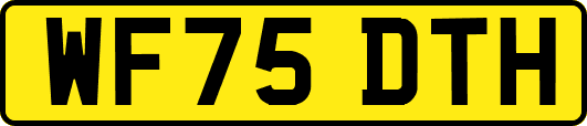 WF75DTH