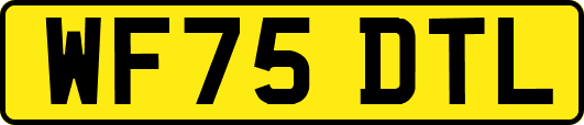 WF75DTL