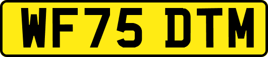 WF75DTM
