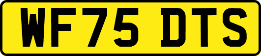 WF75DTS