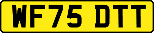 WF75DTT