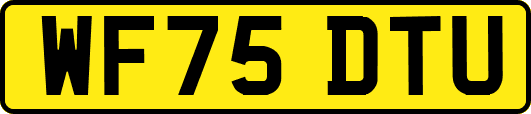 WF75DTU