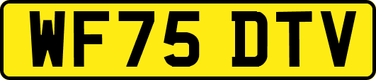 WF75DTV
