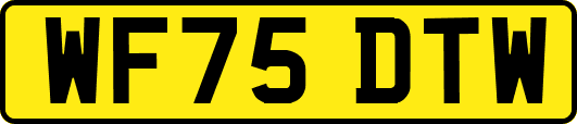 WF75DTW