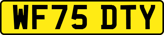 WF75DTY