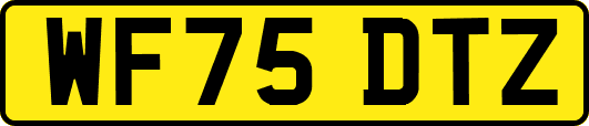 WF75DTZ