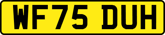 WF75DUH