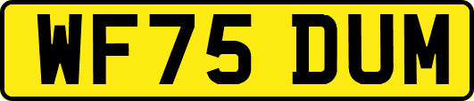 WF75DUM
