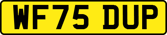 WF75DUP