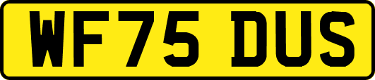 WF75DUS