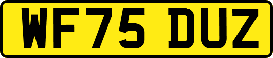 WF75DUZ