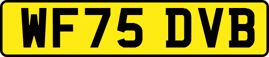 WF75DVB