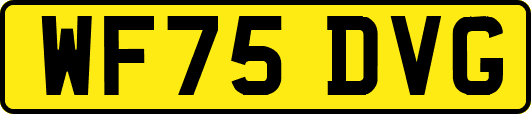 WF75DVG