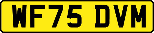 WF75DVM