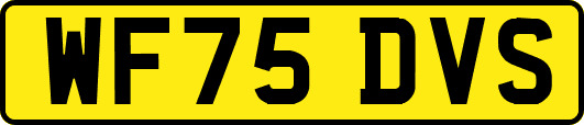 WF75DVS