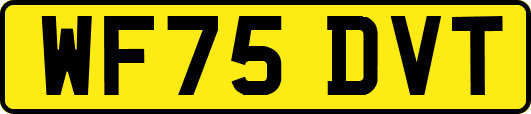 WF75DVT