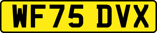 WF75DVX